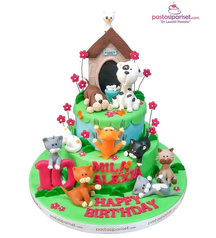 Butik pasta, pasta, çocuk pastası, çiftlik pastası, hayvanlı