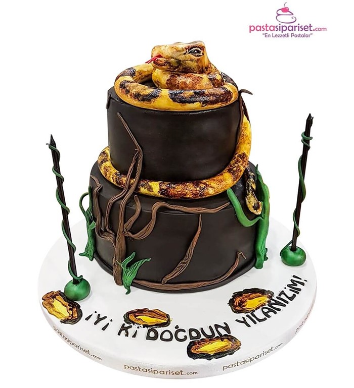 Butik pasta, pasta, arkadaş pastası, genç pastası, yılanlı