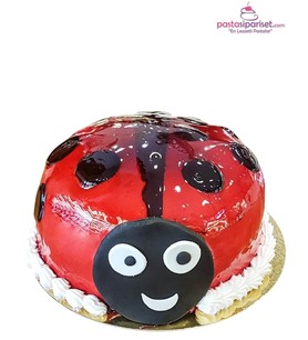 uğur böceği pasta modelleri, uğur böceği hazır pasta