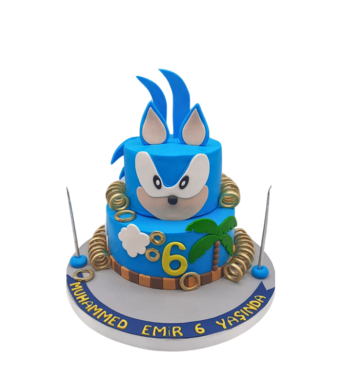Sonic doğum günü pastası, çocuk pastası, karakter pasta